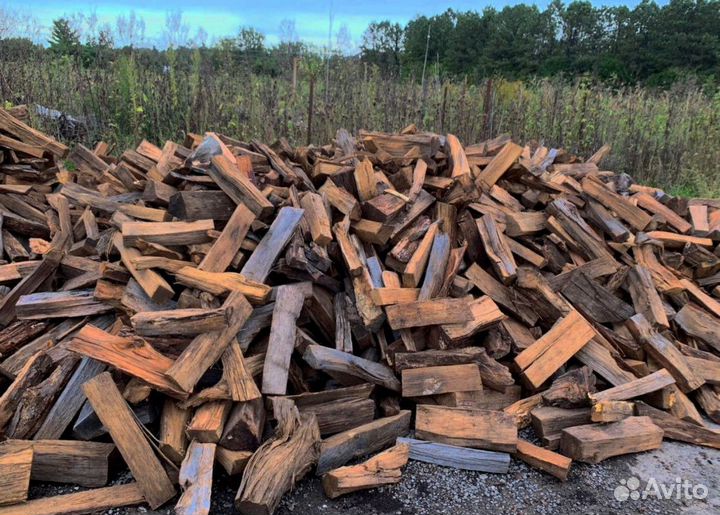 Дрова Береза
