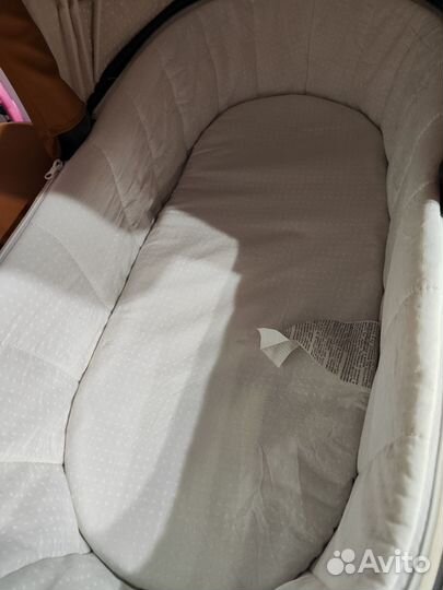 Коляска adamex monte carbon 2 в 1