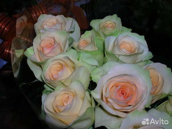 Цветы розы букет