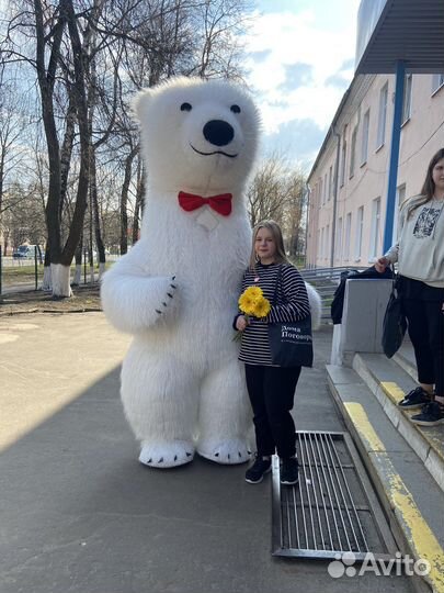 Поздравление от огромного медведя