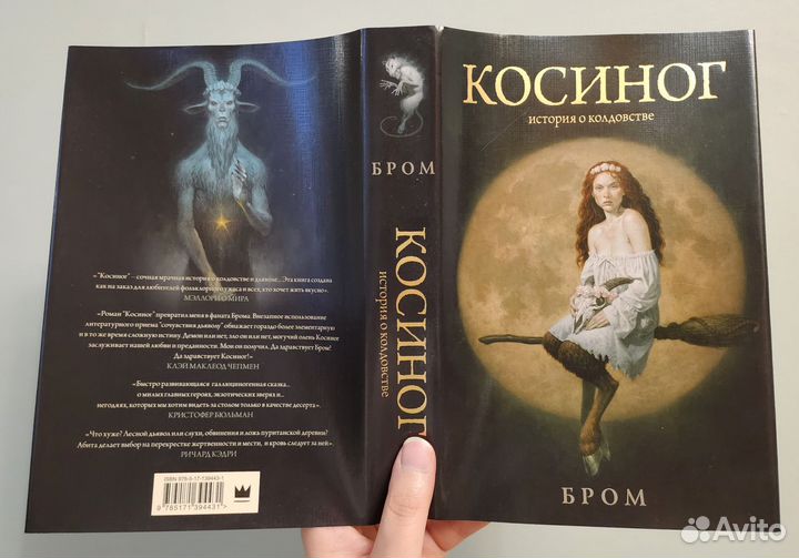 Книга Косиног (Бром)