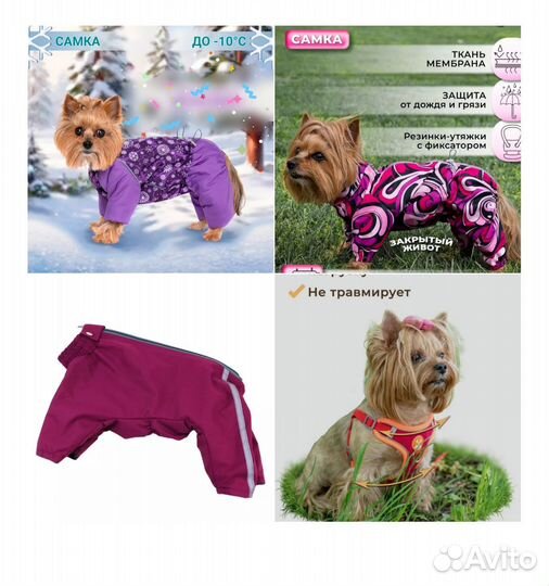 Комбинезоны для собак(девочка), шлейка+поводок