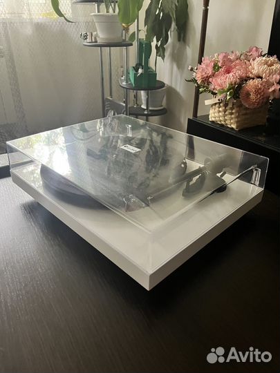 Pro-Ject Debut Carbon EVO