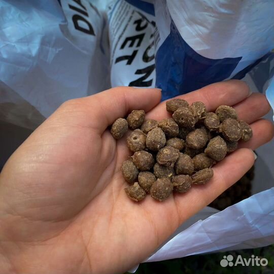 Корм для собак