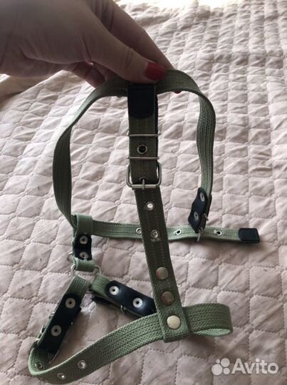 Шлейка для собаки