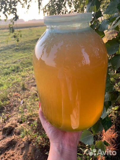 Продам мед