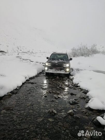 Трансфер Land Cruiser 200/ VIP/ Аренда с водителем