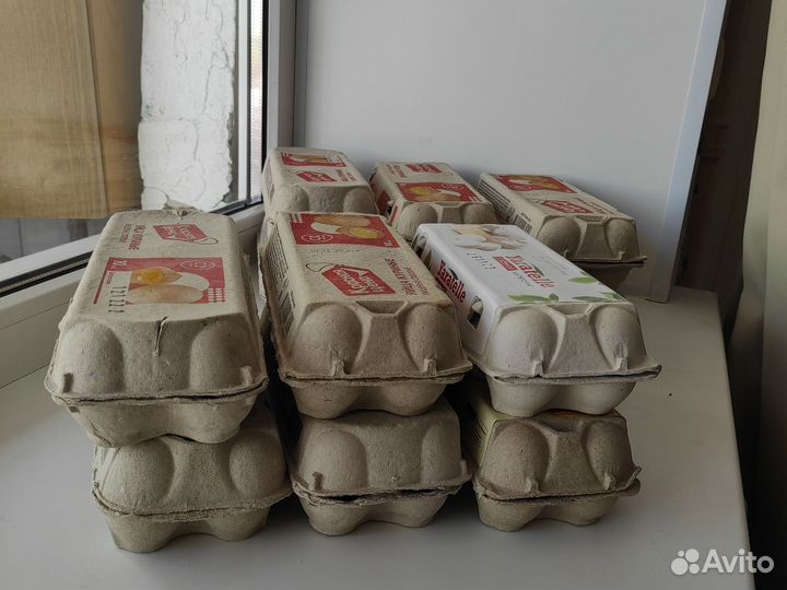 Лотки от яиц