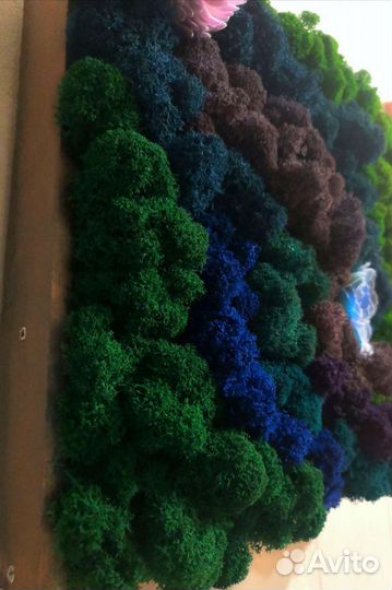 Панно Стабилизированный мох Картина Подарок