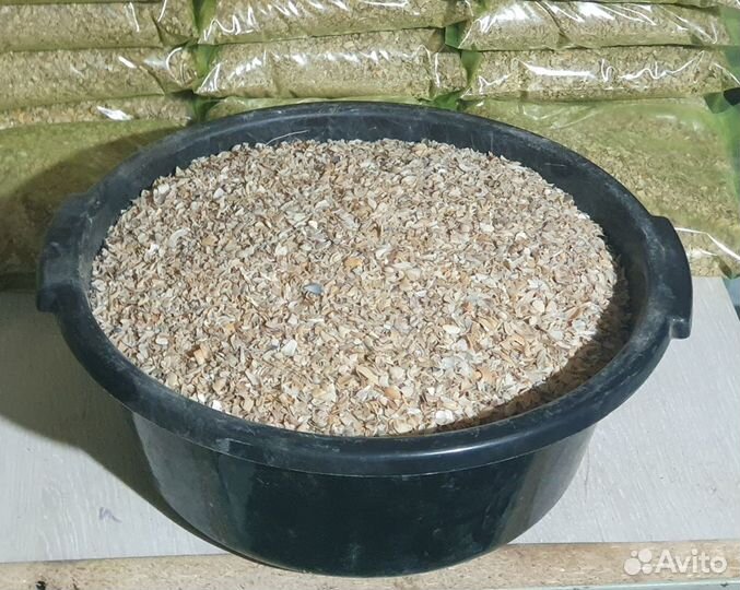 Ракушка кормовая морская