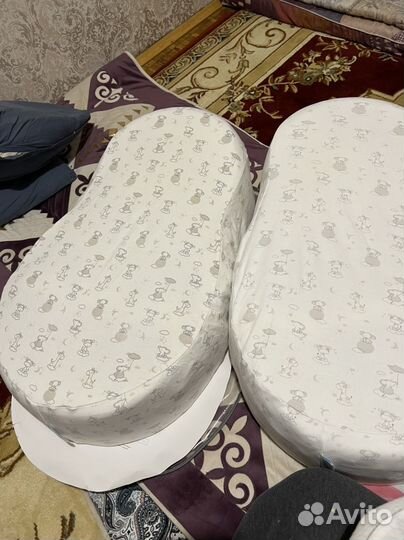 Кокон зевушка в хорошом состоянии