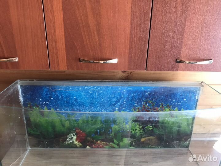 Аквариум 100 литров