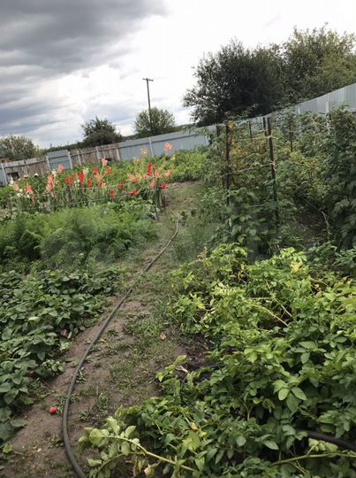 Дача 20 м² на участке 6 сот.