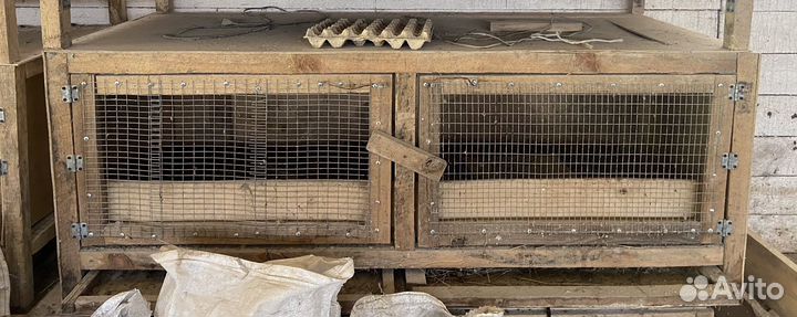 Брудер, клетка для птицы