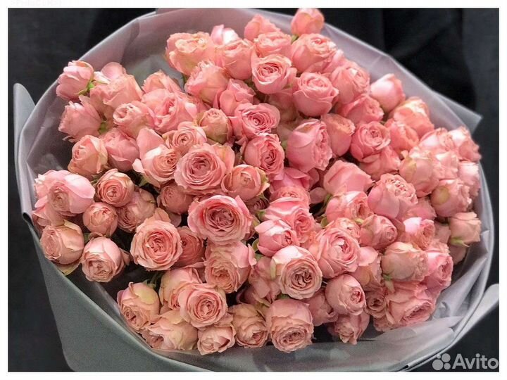 Кустовые пионовидные розы