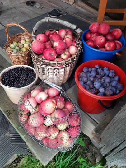 Дом 38,6 м² на участке 10,7 сот.