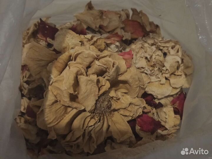 Лепестки роз сухие