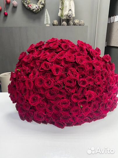 Розы с доставкой, 151 роза 201 301
