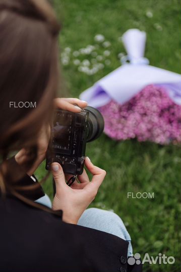 Гипсофилы от производителя. Доставка в срок 24/7