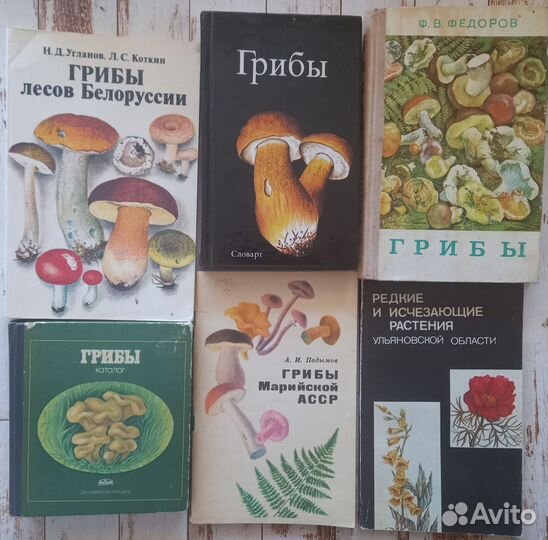 Книга грибы