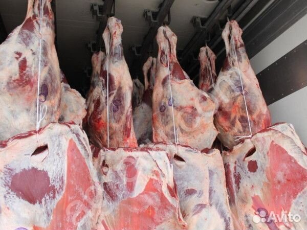 Мясо говядина домашняя