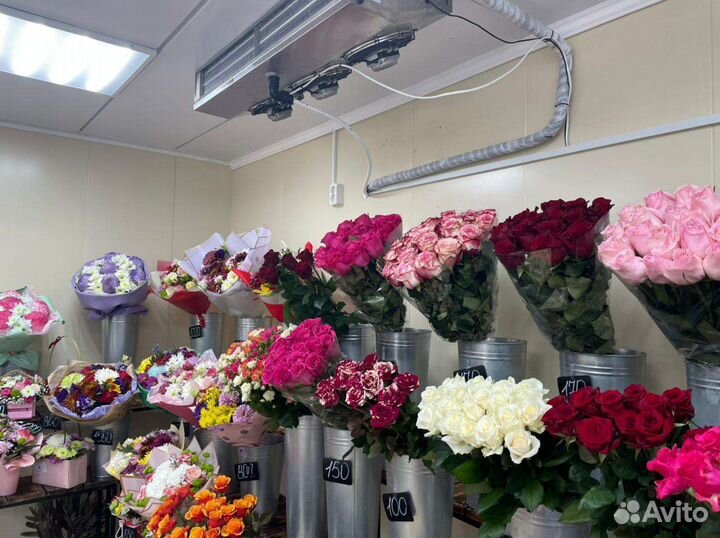 Холодильный агрегат для цветов +5с