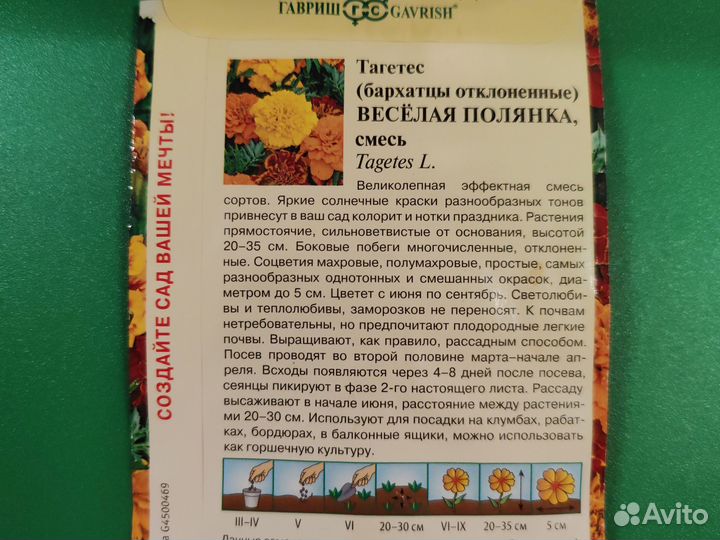 Рассада бархатцев