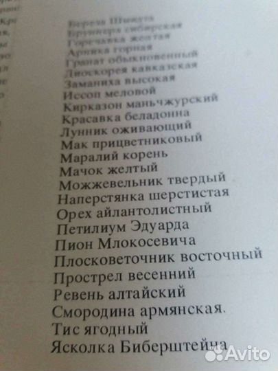 Растения из Красной книги СССР