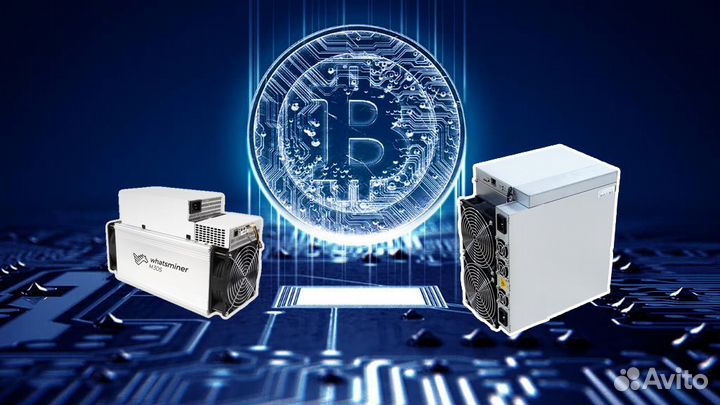 Обучение майнингу, проектирование, консультации