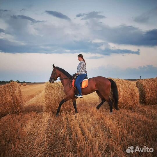 Конные прогулки