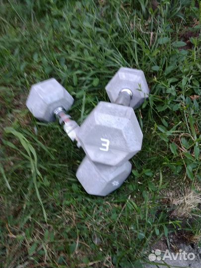 Гиря 32 кг гантели 3 кг