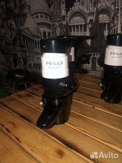 Пегасы винтап