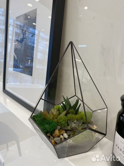 Уход за комнатными растениями