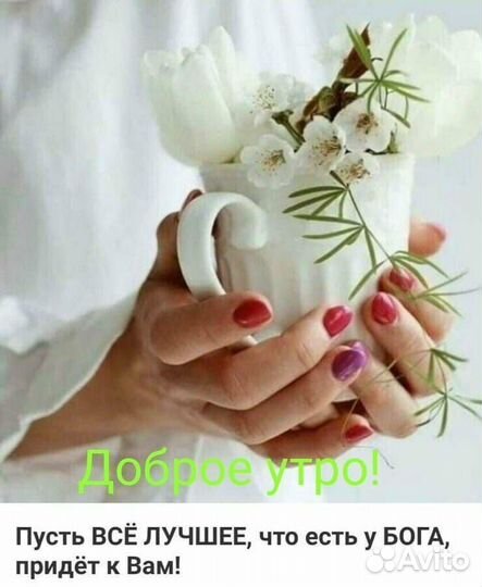 Молоко свеженькое парное от коровок и коз