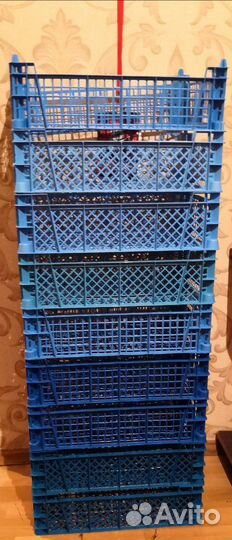 Ящики и Вёдра пластиковые4л- 10л