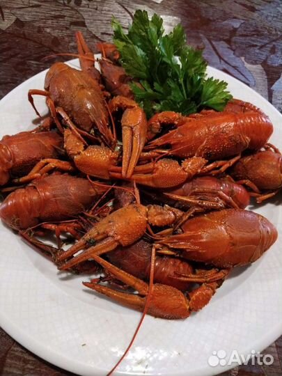 Раки, живые и вареные