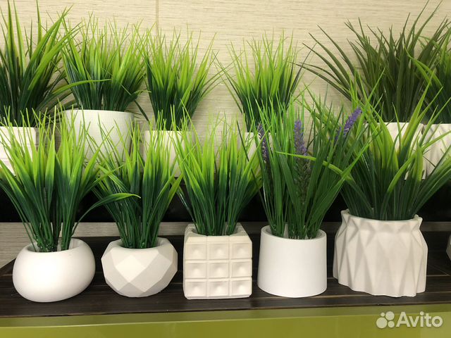 Декор, интерьерные цветы, осока