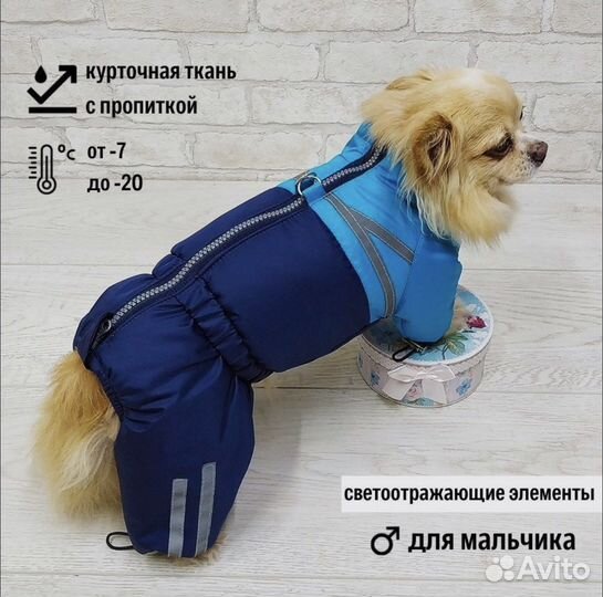 Комбинезон для собаки мальчика, 6-8 кг