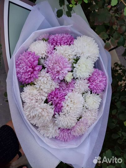 Цветы букеты с доставкой