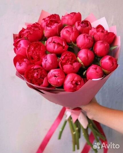 Пионы Букет пионов