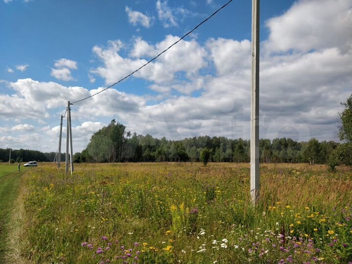 Участок 40,3 сот. (СНТ, ДНП)