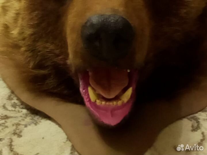 Шкура медведя имитация