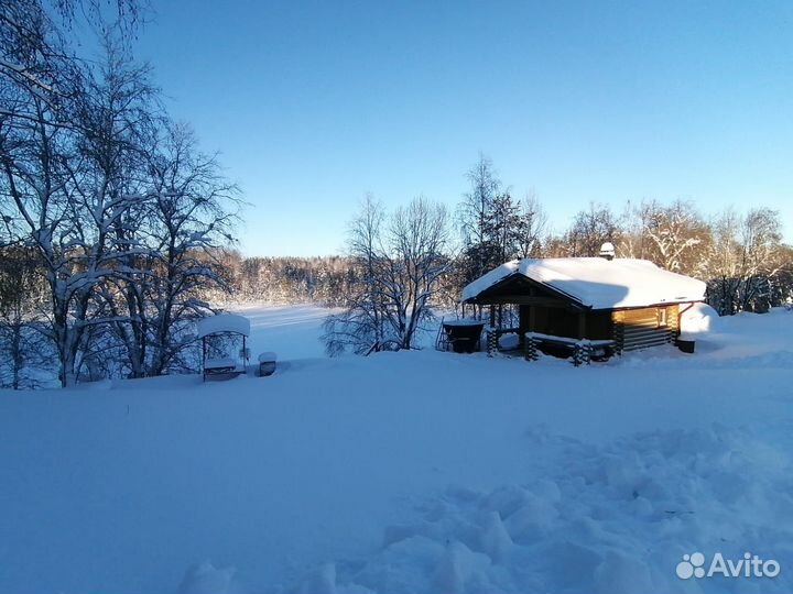 Охота в Карелии