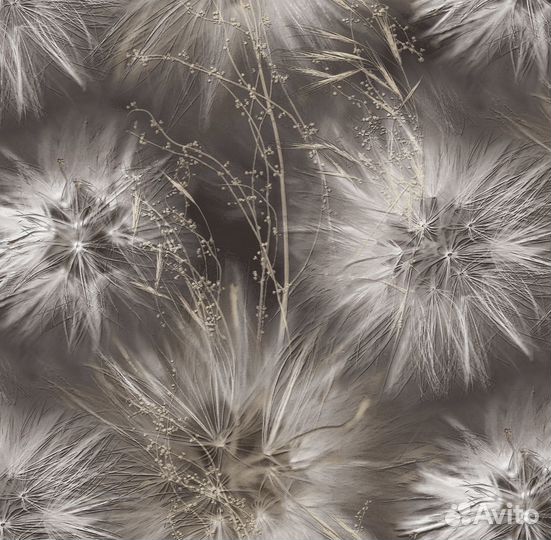 Обои victoria stenova