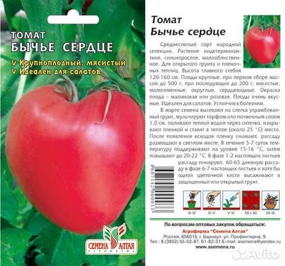Рассада томатов, баклажан, перца острого