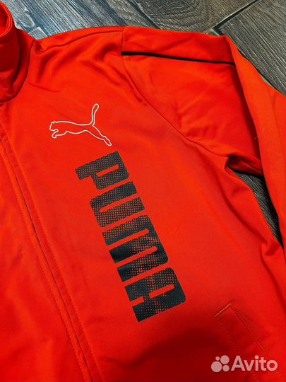 Толстовка puma р.140 - 10 лет