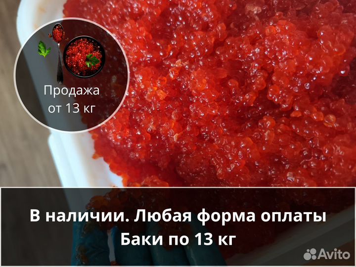 Красная икра. Кеты