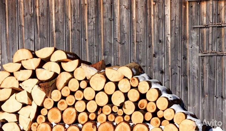 Дрова береза от производителя