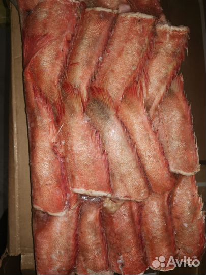 Свежемороженная рыба и морепродукты