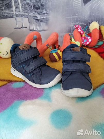 Ботинки демисезонные ecco